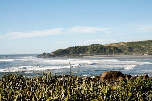 New Zealand 09 10  161